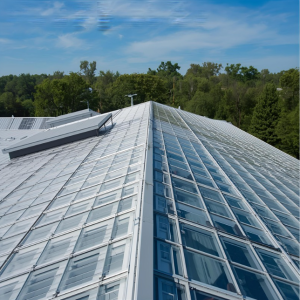 Polycarbonate Roof Panels 1